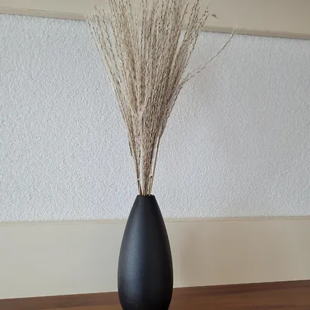 Appartement Birkenhuegel *