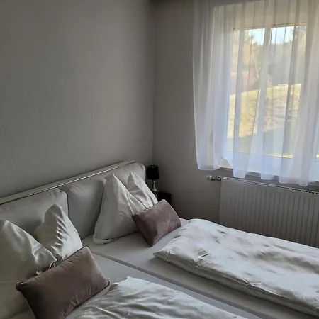 Birkenhuegel *