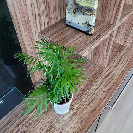 Appartement Birkenhuegel Schörfling